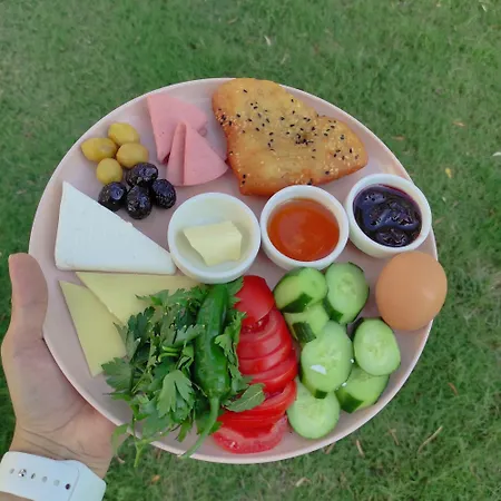 Oliva Casa 达特恰