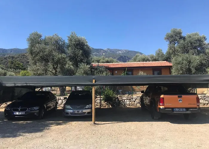 아파트호텔 Oliva Casa 닷차