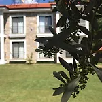Oliva Casa Datca